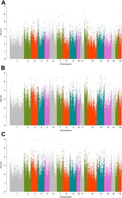 Epigenome-wide association studies of meat traits in Chinese Yorkshire pigs highlights several DNA methylation loci and genes